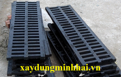 Song chắn rác gang KT: 1000x300x30mm