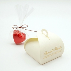 Special Thanks/ H01 - Box