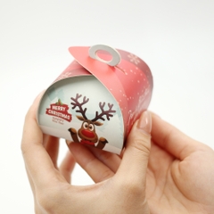 Special Thanks / Reindeer