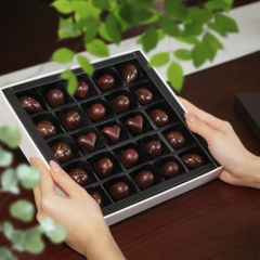 Elegance Chocolate / S245