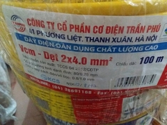 Dây điện 2x4