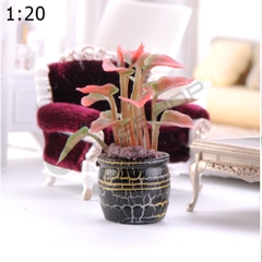 Chậu Kiểng Lớn