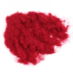 Cỏ Sợi Đỏ C153