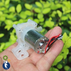 Máy Bơm Nước Mini 12V 50mA