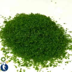 Bột Cây Xanh Loại 2 A36