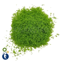 Bột Cây Xanh Nhạt Loại 2 A34