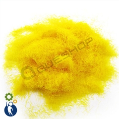 Cỏ Sợi Vàng C152