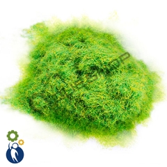 Cỏ Sợi Xanh - Vàng C138