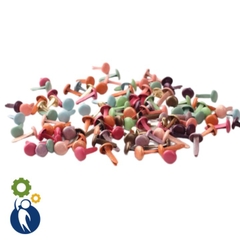 Bộ 3 Đinh Cánh Phượng