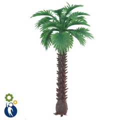 Cây Cọ Mẫu 3