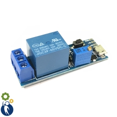 Module Tạo Trễ 5-30V