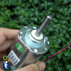 Motor 12V 2700rpm Trục 8mm 2 Vòng Bi