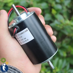 Motor 12V 30W 2 Trục 2900rpm