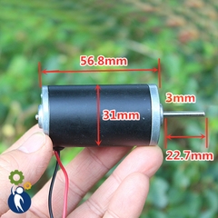 Motor 12V Mã 2450 3300rpm