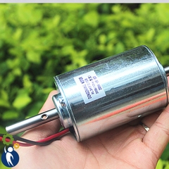 Motor 220V 2 Đầu Trục 3000rpm Tặng Kèm Diot