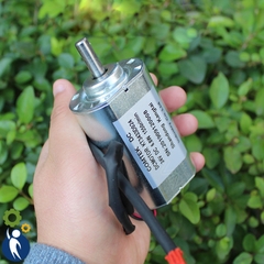 Motor 24V 6.8W 1550rpm