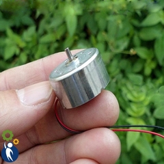 Motor 300 5V 5500rpm