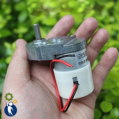Motor Giảm Tốc 12V 65rpm 5W Bánh Răng Kim Loại