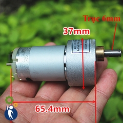Motor Giảm Tốc 12V 740rpm 5W