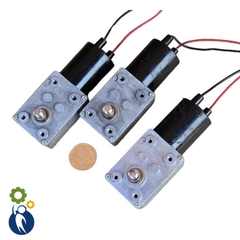 Motor Giảm Tốc 12V Mã 370 3rpm