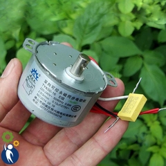 Motor 220V 0.6W 2.5rpm TYK50