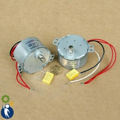 Motor 220V 0.6W 2.5rpm TYK50