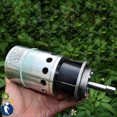 Motor Giảm Tốc 220V 200W 40rpm Mô Men Xoắn 50N.m Bánh Răng Kim Loại Tặng Kèm Diot
