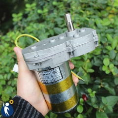 Motor Giảm Tốc 220V 300W 55rpm Mô Men Xoắn 200kg.cm Tặng Kèm Diot