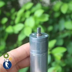 Motor Giảm Tốc 3.7V 4W 310rpm Motor Giảm Tốc 5V Bánh Răng Kim Loại