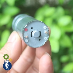 Motor Giảm Tốc 3.7V 4W 310rpm Motor Giảm Tốc 5V Bánh Răng Kim Loại