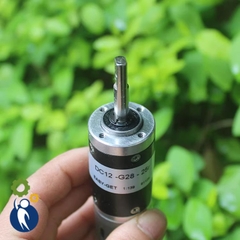 Motor Giảm Tốc 3V-15V G28 7-35rpm Motor Giảm Tốc 12V 28rpm