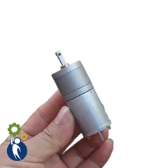 Motor Giảm Tốc 6V Mã 370 66rpm Bánh Răng Kim Loại