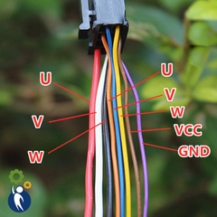 Motor Không Chổi Than 12-24V 18W 13600rpm