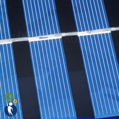 Pin Năng Lượng Mặt Trời 6V 4W