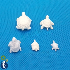 Rùa Mô Hình Mã 03