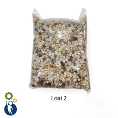 Sỏi Nhỏ Loại 2