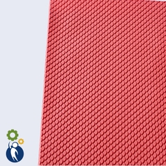 Tấm Nhựa Giả Ngói 2