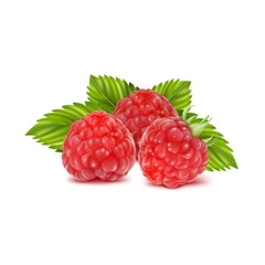 Dưa non Đà Lạt