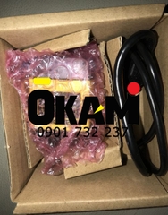 Đầu đọc mã vạch Cognex DMR-152Q-0120