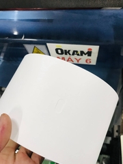 Ruban 100x120 x 200m, đục lỗ oval