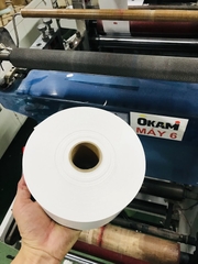 Ruban 100x120 x 200m, đục lỗ oval