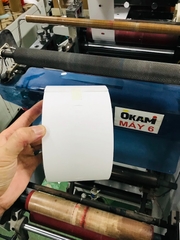 Ruban 100x120 x 200m, đục lỗ oval