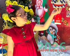 Merry Christmas and Happy New Year 2026 Holiday