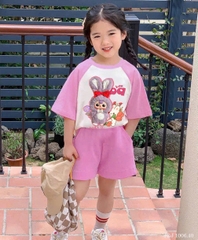 XA KHO BỘ CỘC THỎ THỊ TRẤN PHỐI HỒNG