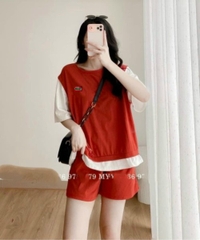 BỘ ĐÙI NỮ COTTON CÁ SẤU PHỐI TAY TRẮNG BÈO