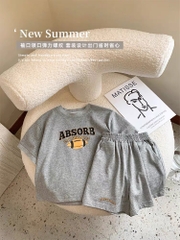 SET 2 BỘ ĐÙI BÉ TRAI THAN GHI BÓNG CHÀY ABSORB