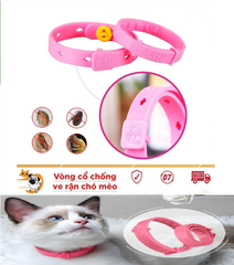 vong-co-chong-ve-ran-bo-chet-cho-meo-thu-cung-vong-co-chong-bo-tren-da-long-cun-