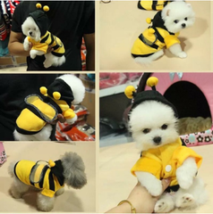 ao-sweater-ong-vang-giu-am-lam-dep-cho-thu-cung-cho-meo