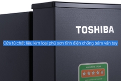 Tủ lạnh Toshiba Inverter 249 lít GR-RT325WE-PMV