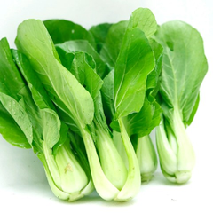 Cải thìa Hữu cơ của Organica